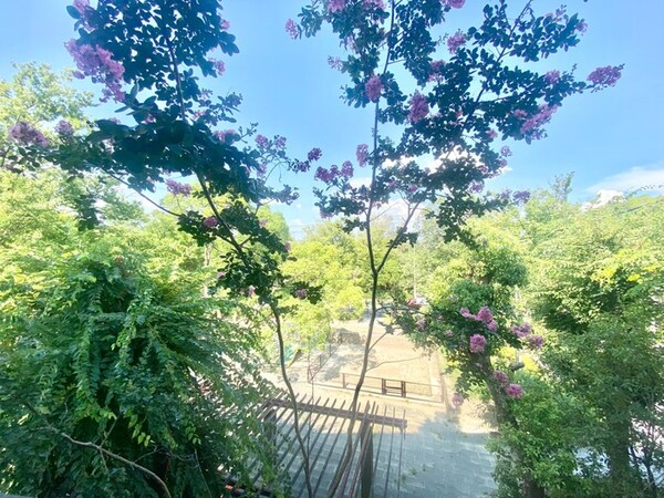 室内からの展望