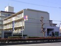 セレニティ山際