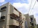 ヴィラ長興寺