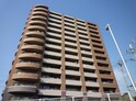 住吉清水丘シティタワー（703）