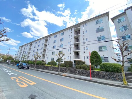 藤阪ハイツC1棟（505）外観写真