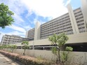 芦屋ハイタウン(216)