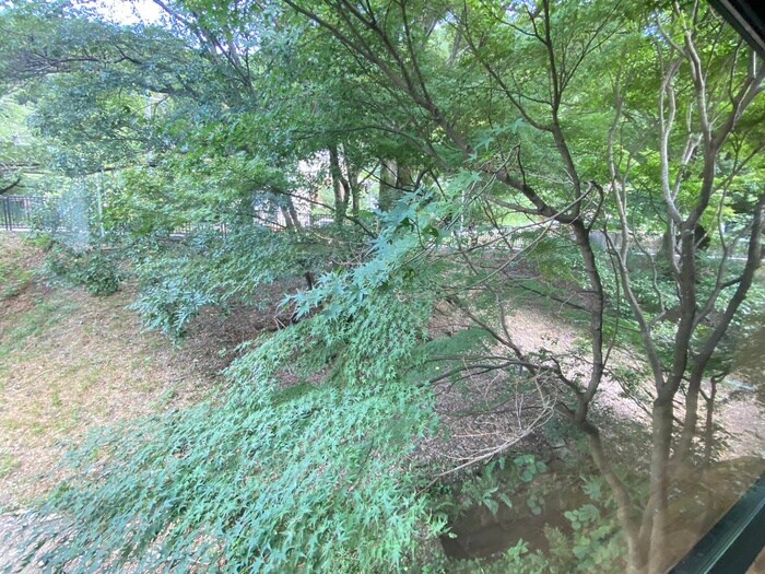 物件内観写真18　(室内からの展望)