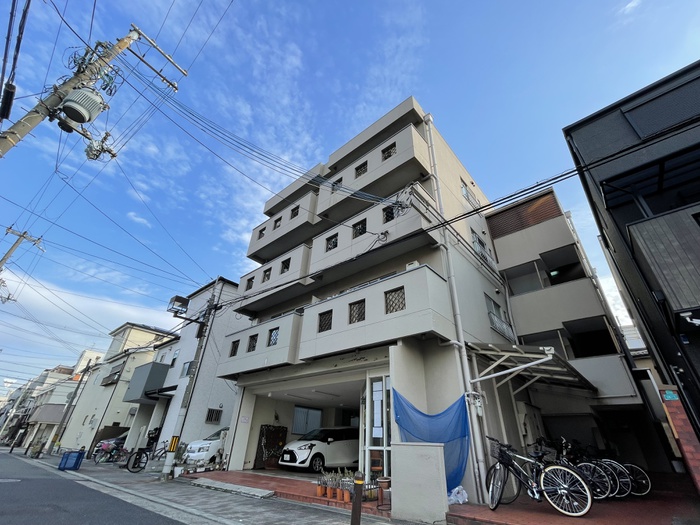 ブランデ－ル平野