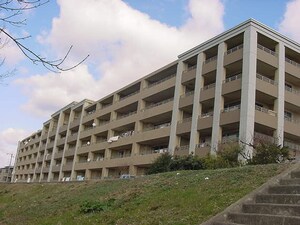 ネバ－ランド西京極（５０５）外観写真