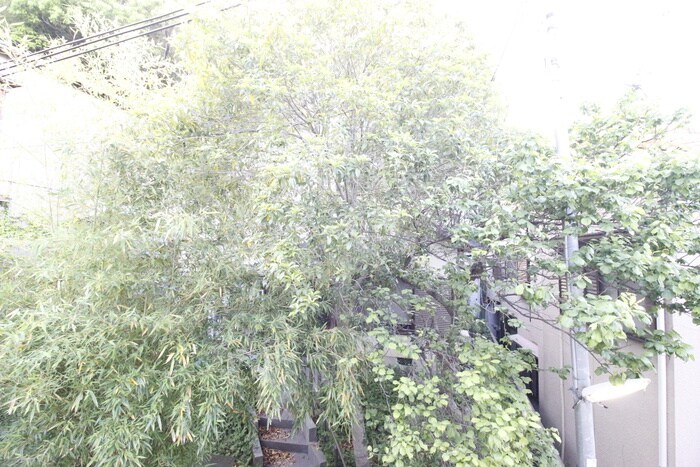 物件内観写真17　(室内からの展望)