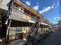 杉本文化