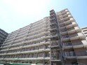 江坂江の木公園ｽｶｲﾊｲﾂ(419)