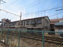 ハラ文化