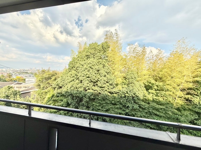 物件内観写真16　(室内からの展望)