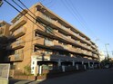 ﾗｲｵﾝｽﾞﾏﾝｼｮﾝ南楠葉（310）