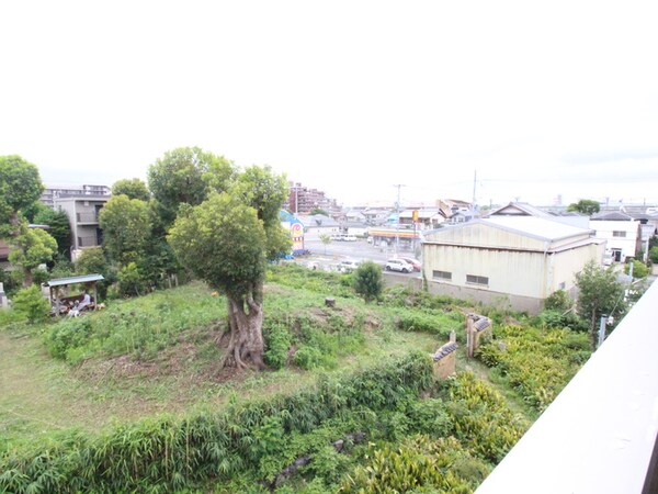 室内からの展望