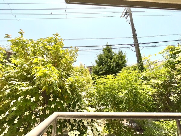 室内からの展望