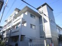 甲子園ファイブ