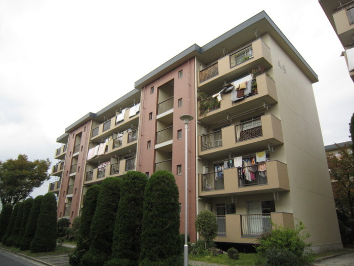 安威団地Ａ９号棟(101)