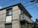 アルビノハイツ
