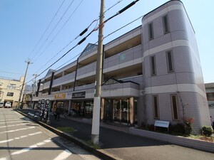 エクシヴィアベニュー外観写真