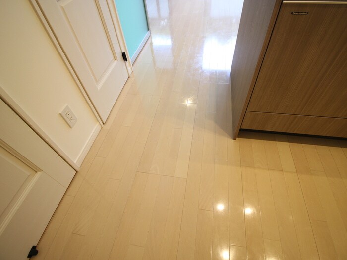 物件内観写真21　(廊下)