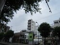 ペントハウス１７