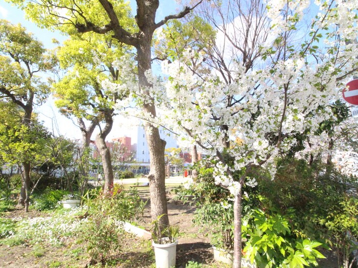 物件外観写真5　(周辺環境)