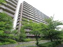 ﾛｰﾚﾙｺｰﾄ新千里東町Ⅲ番館(1312)