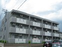 Ｍグランツ