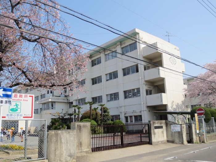 柏原小学校