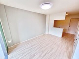 物件内観写真11　(居室)