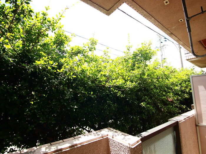 物件内観写真22　(室内からの展望)