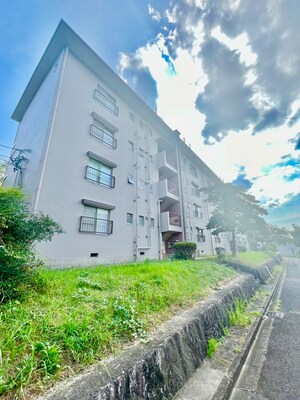 鍋屋上野住宅５号棟(401)外観写真