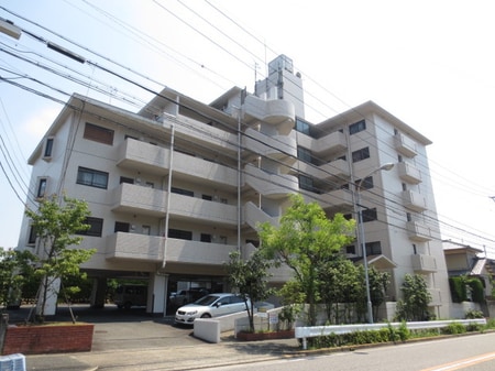 フェステ菊屋第６外観写真