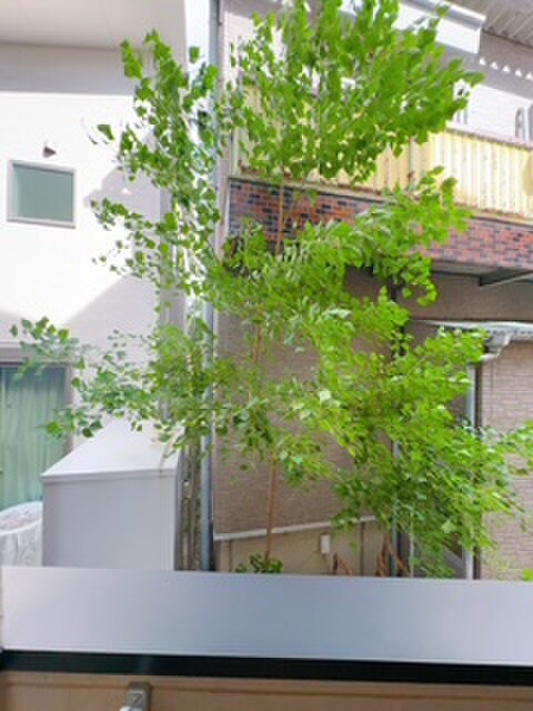 物件内観写真20　(室内からの展望)