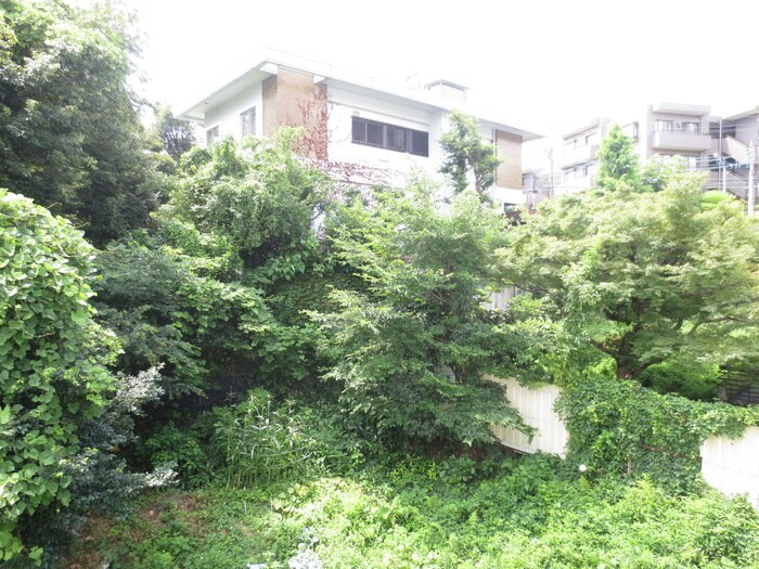 物件内観写真16　(室内からの展望)