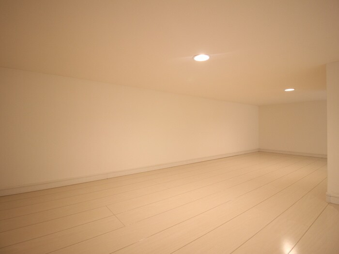 物件内観写真19　(ロフト)