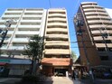 ﾗｲｵﾝｽﾞﾏﾝｼｮﾝ丸の内第５(1203)