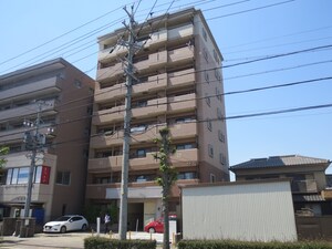 ファレノプシス外観写真