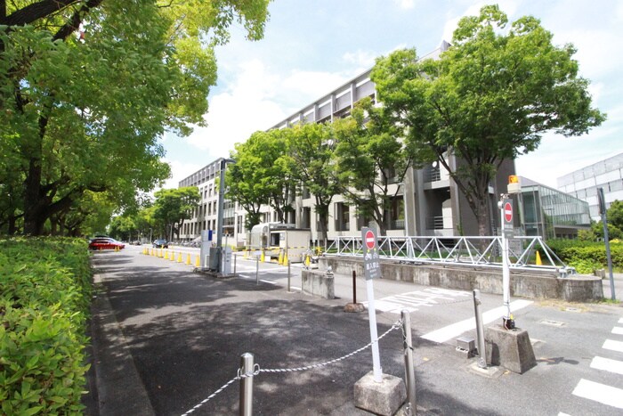 名古屋大学