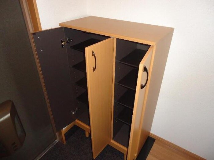 物件内観写真19　(玄関)