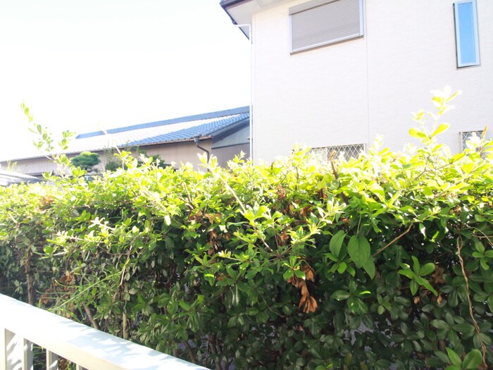 物件内観写真21　(室内からの展望)