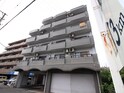 グリーンバレー境松