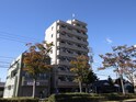 グリュックハ－ベン