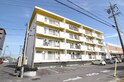 マンション大樹
