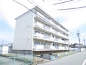 ハピネス緑