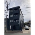 ストーク白菊