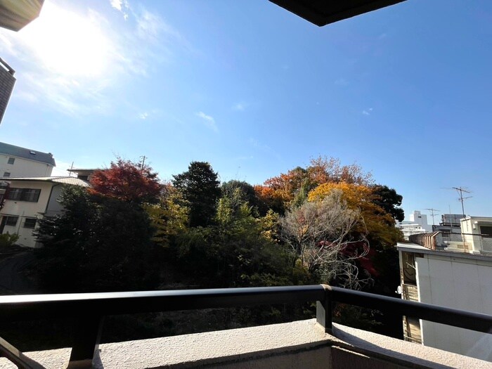 物件内観写真17　(室内からの展望)