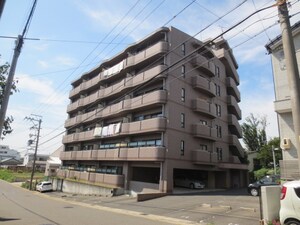 ハイエストマンション島田外観写真