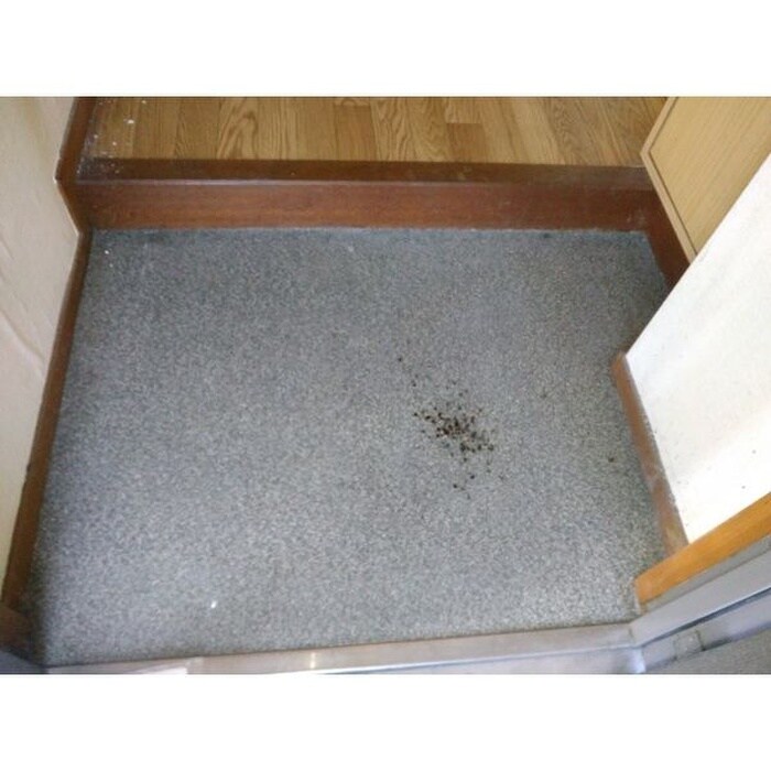 物件内観写真15　(玄関)