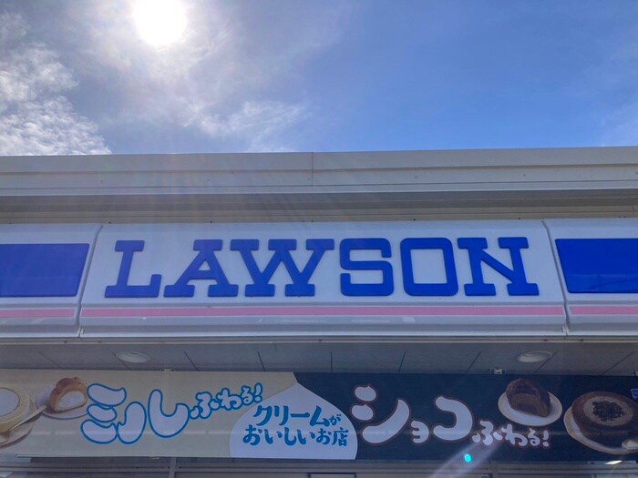 ローソン 安城新田町店