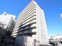 コープ野村東桜(405)