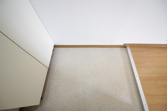 物件内観写真17　(玄関)